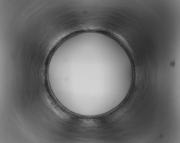 X0000116350439200912221505