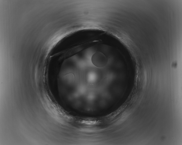 X0000116350440200912221505