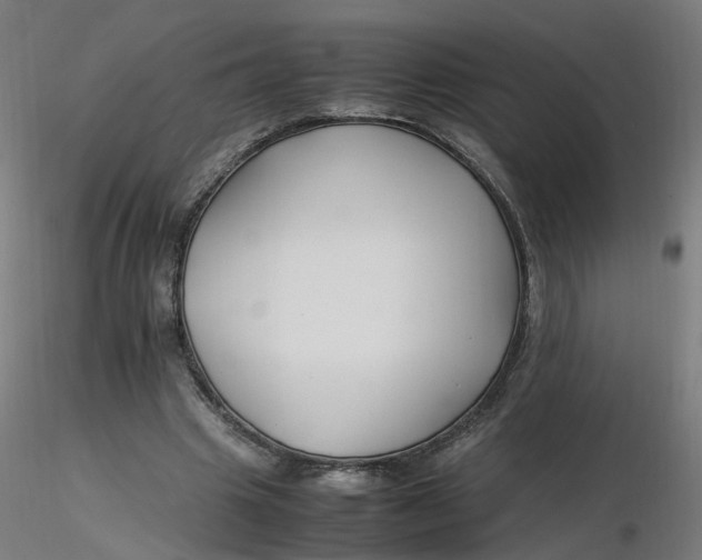 X0000116350441200912221505