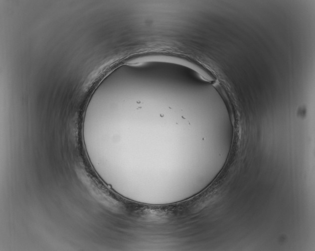 X0000116350442200912221505