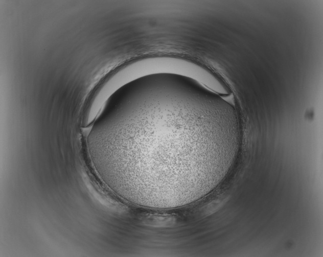 X0000116350443200912221505