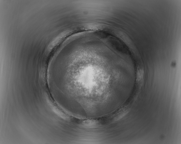 X0000116350444200912221505