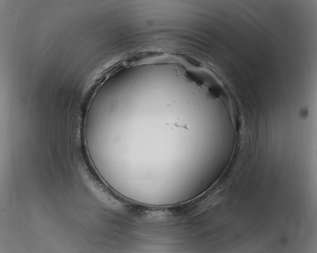 X0000116350446200912221505