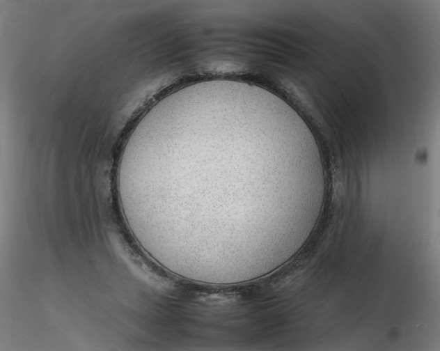 X0000116350447200912221505