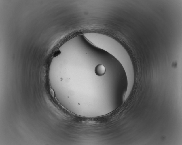 X0000116350448200912221505