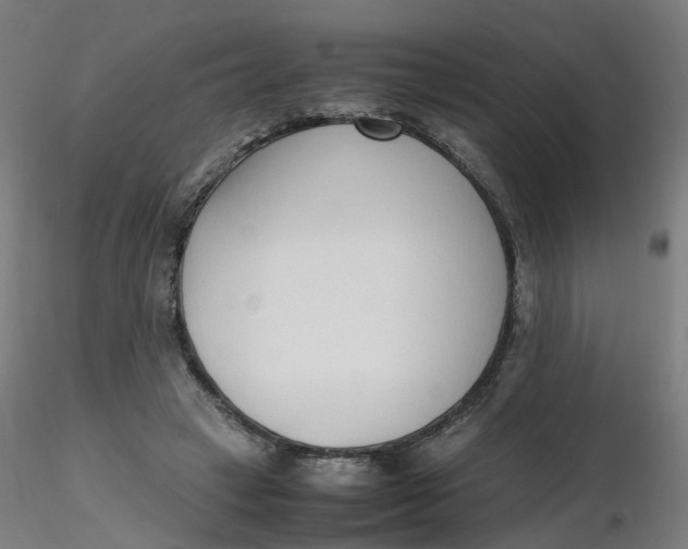 X0000116350449200912221505