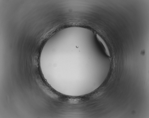 X0000116350450200912221505