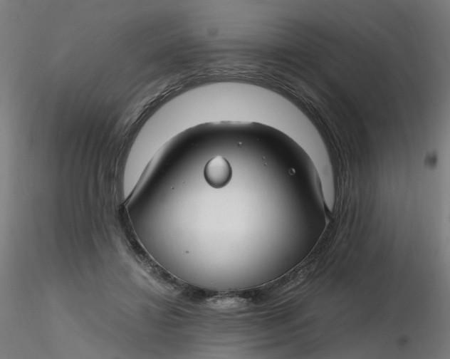 X0000116350452200912221505