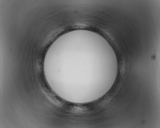 X0000116350455200912221505