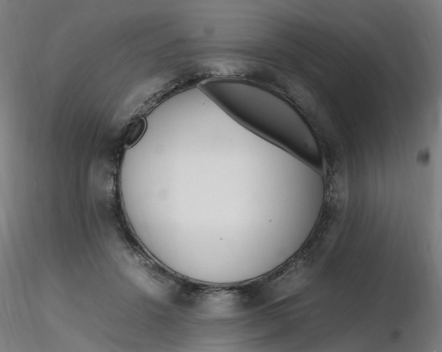 X0000116350456200912221505