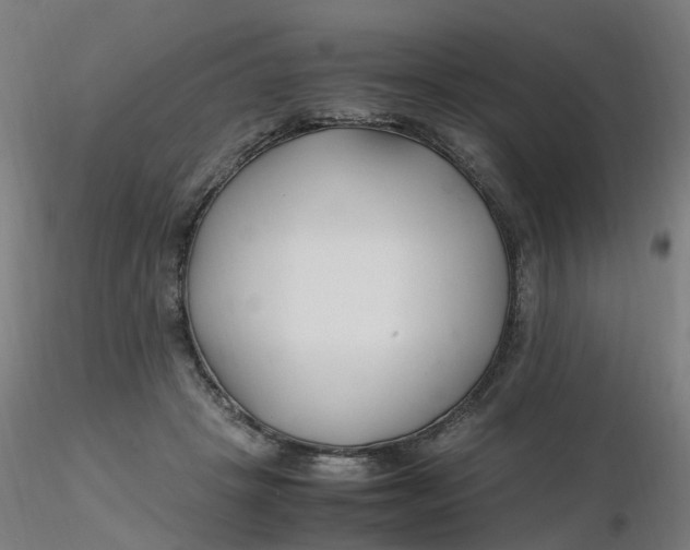 X0000116350457200912221505