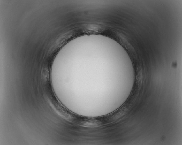 X0000116350459200912221505