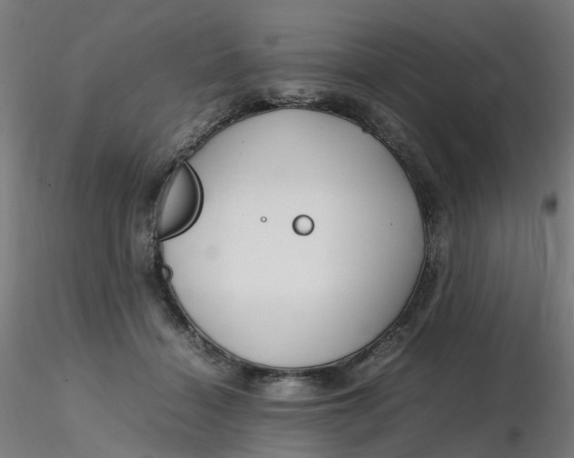 X0000116350460200912221505