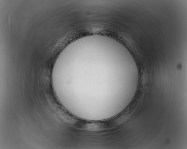 X0000116350461200912221505