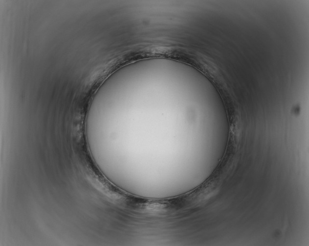 X0000116350462200912221505