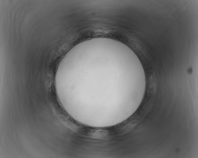 X0000116350463200912221505