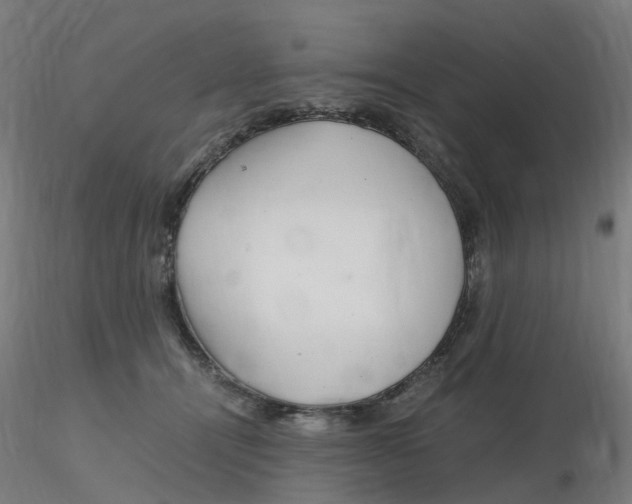 X0000116350464200912221505