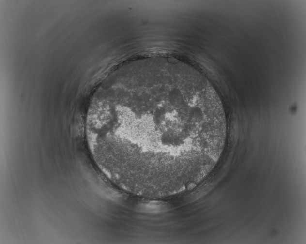 X0000116350467200912221505