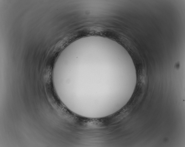 X0000116350468200912221505