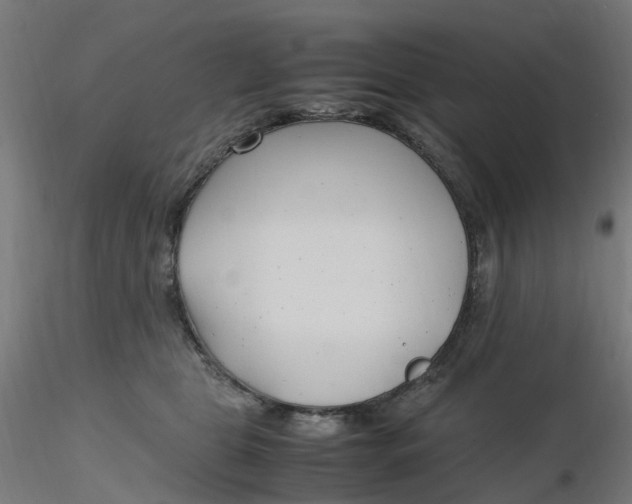 X0000116350469200912221505