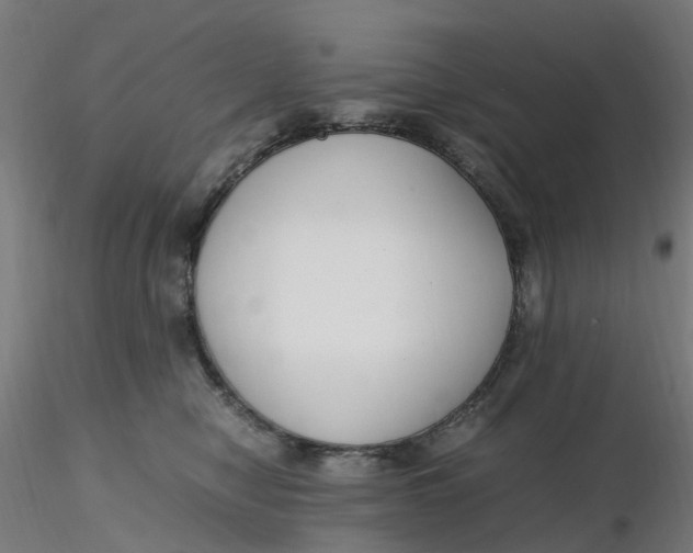 X0000116350470200912221505