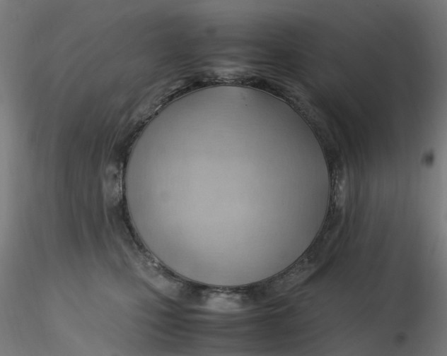 X0000116350471200912221506