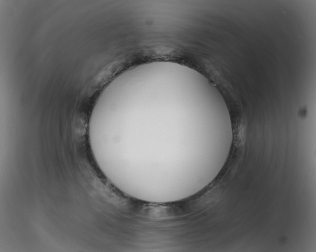 X0000116350472200912221506