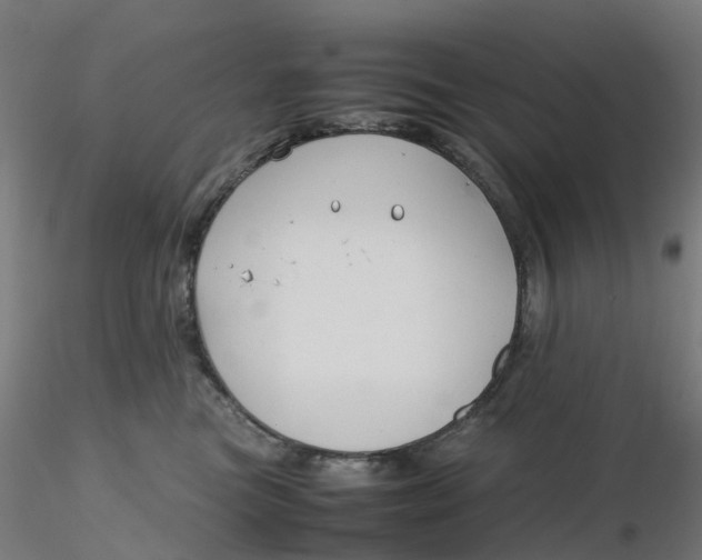 X0000116350473200912221506