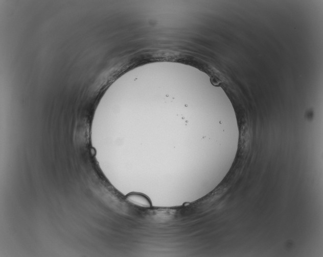 X0000116350474200912221506