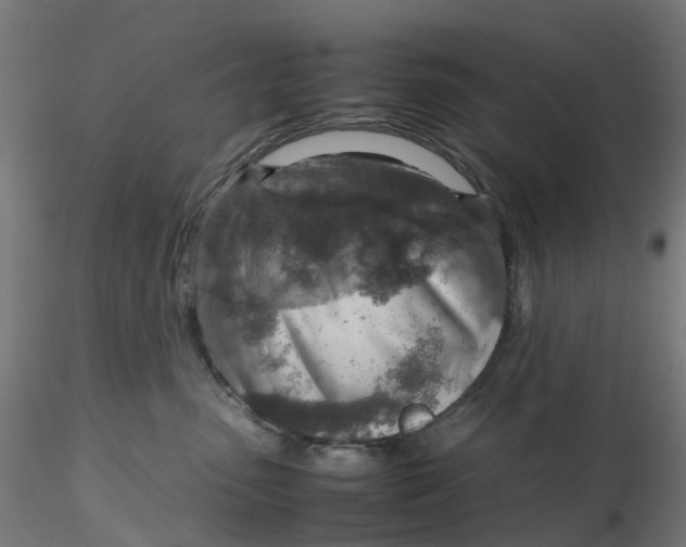 X0000116350475200912221506