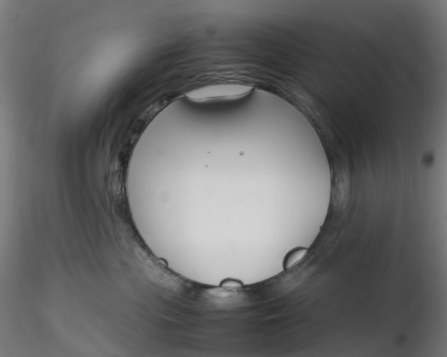 X0000116350477200912221506