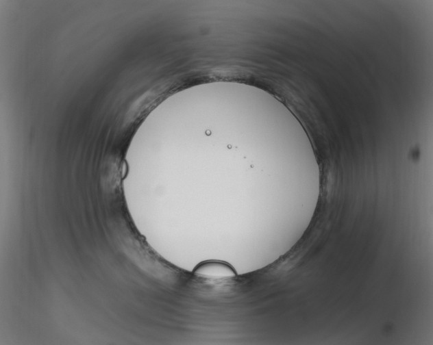 X0000116350478200912221506