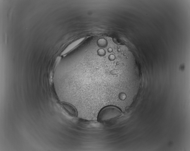 X0000116350479200912221506