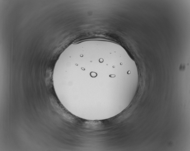 X0000116350480200912221506