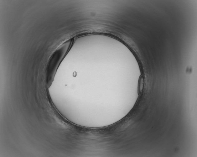 X0000116350481200912221505