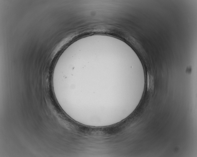 X0000116350483200912221505