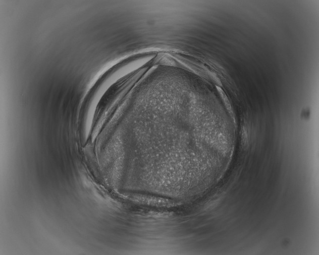 X0000116350484200912221505