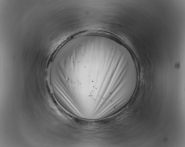 X0000116350485200912221505