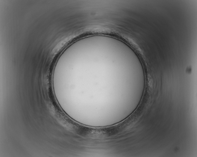 X0000116350487200912221505