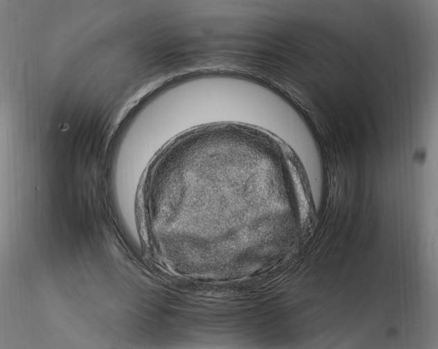 X0000116350488200912221505