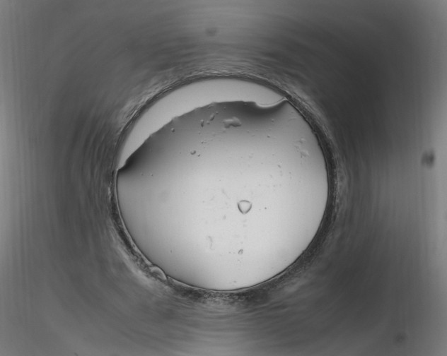 X0000116350489200912221505