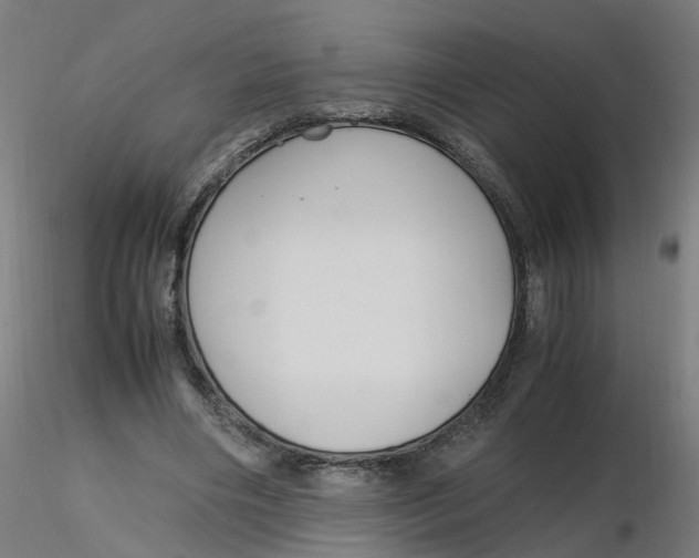 X0000116350490200912221505