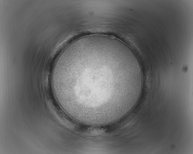 X0000116350491200912221505