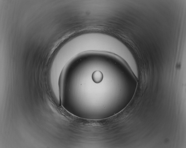 X0000116350492200912221505