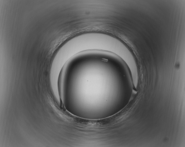 X0000116350493200912221505