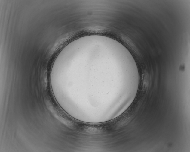 X0000116350494200912221505