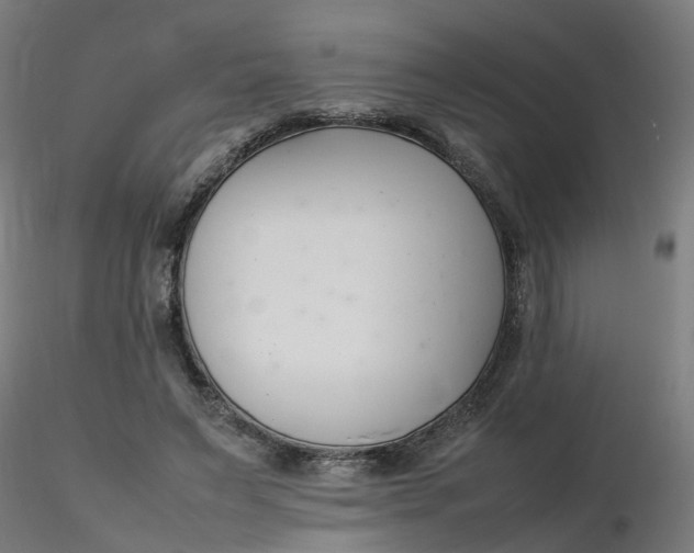 X0000116350495200912221505