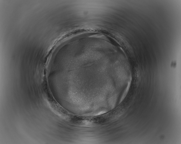 X0000116350496200912221505