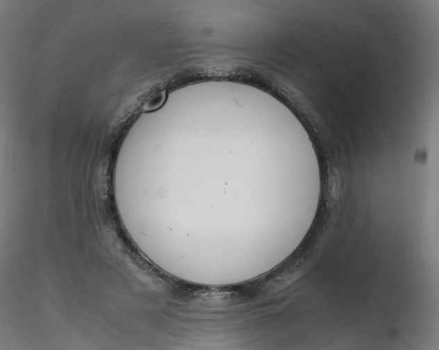 X0000116350497200912221505