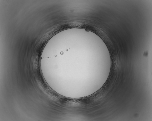 X0000116350498200912221505